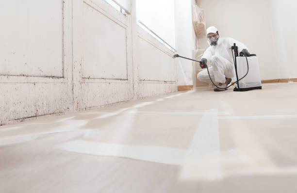 24/7 Emergency Attic Mold Removal experts in Madison, IL