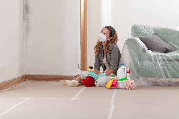 Reliable Attic Mold Removal contractor in Madison, IL by WQB Mold Removal